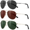 Brown/Grey/Blackish Green